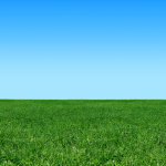 Topographical Survey