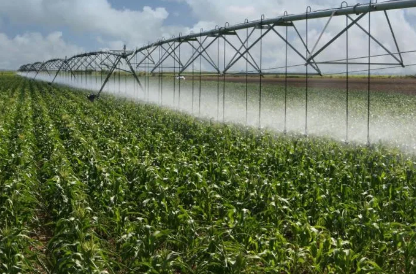 Irrigation Survey