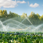 Irrigation Survey